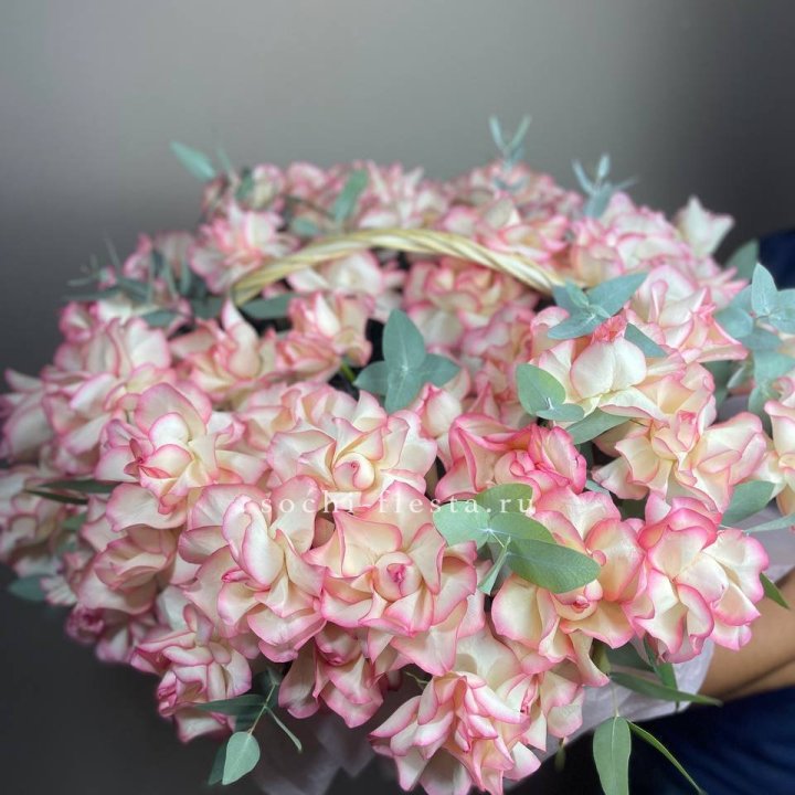 51 джумилия  в корзине   в Симферополи