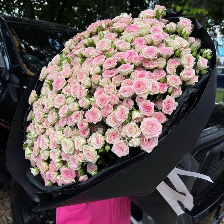 101 кустовая роза "Твистер" в Симферополи