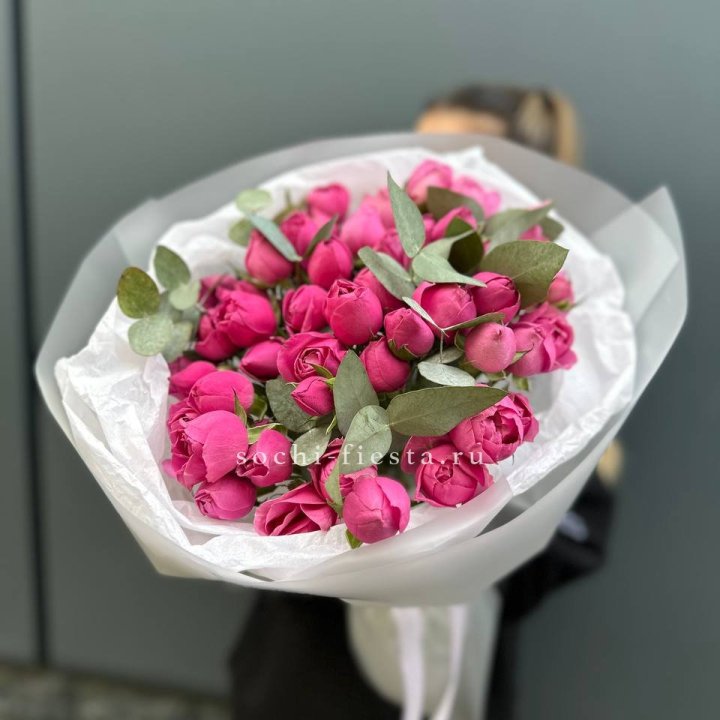 17 Мисти бабблс в Симферополи