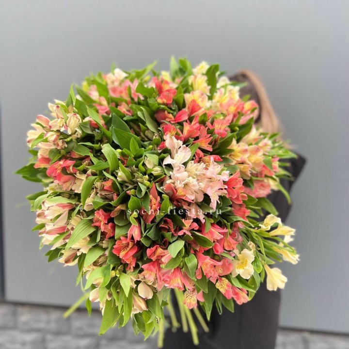 51 альстромерия в Симферополи