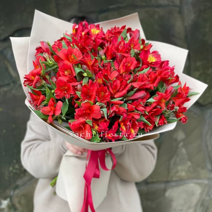 51 альстромерия в Симферополи