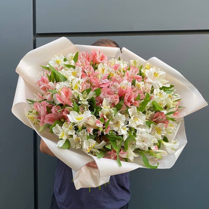 39 альстромерий в Симферополи