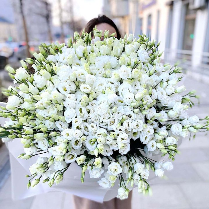 101 белая эустома в Симферополи