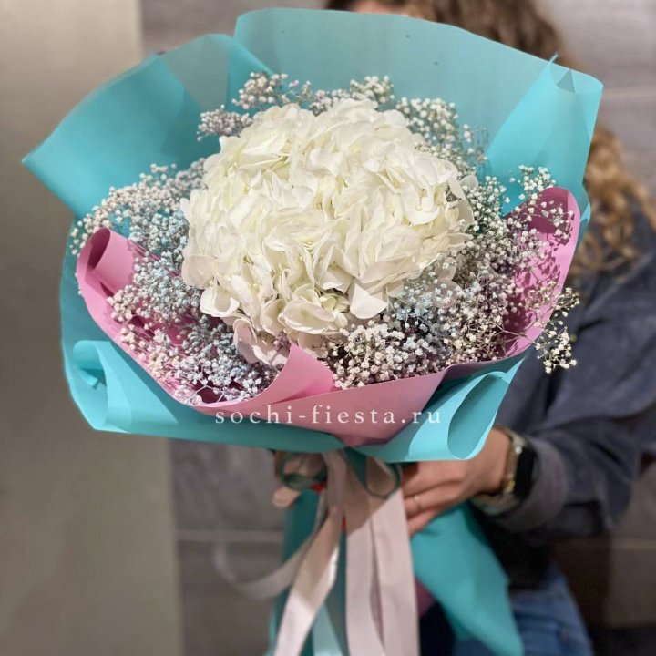 Гортензия "Райдов" в Симферополи