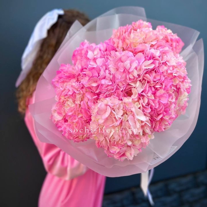 7 ярко розовых гортензий в Симферополи