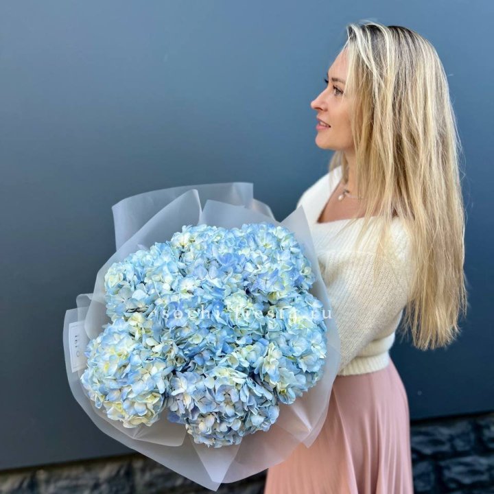 7 голубых гортензий в Симферополи