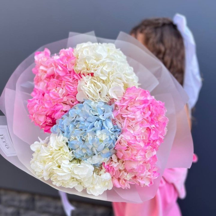 7 гортензий микс в Симферополи