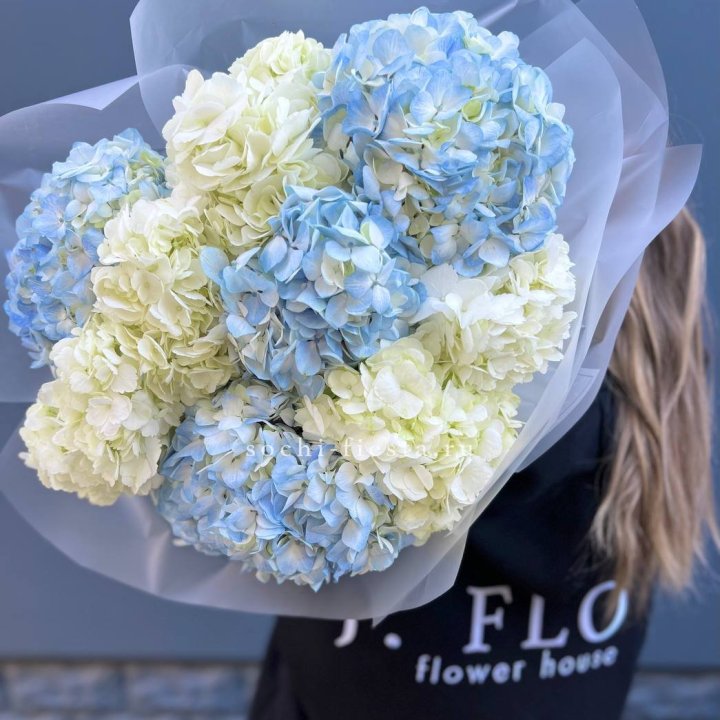 9 бело-голубых гортензий в Симферополи