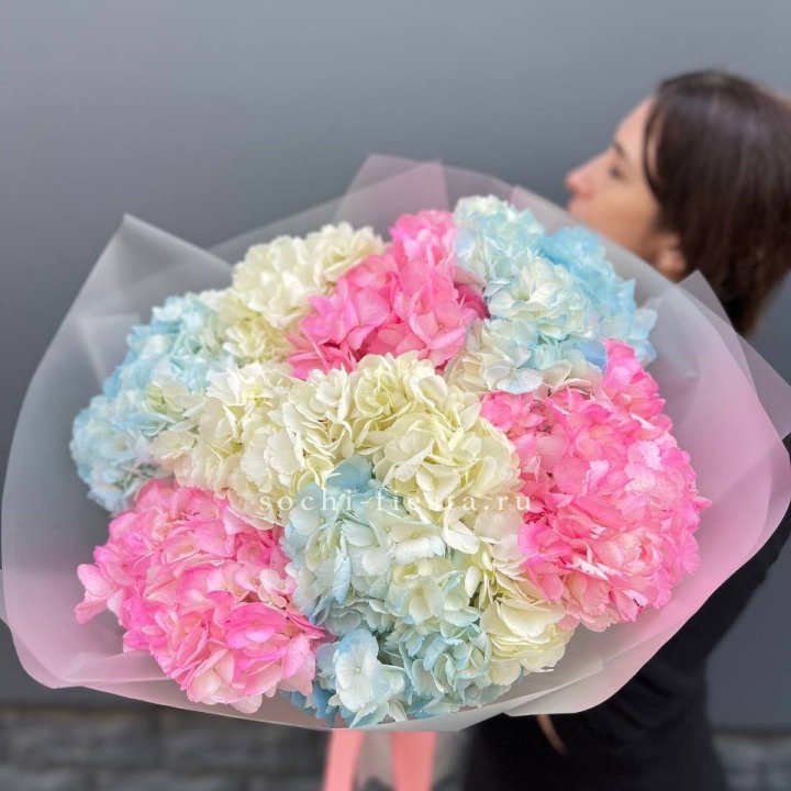 9 гортензий микс в Симферополи