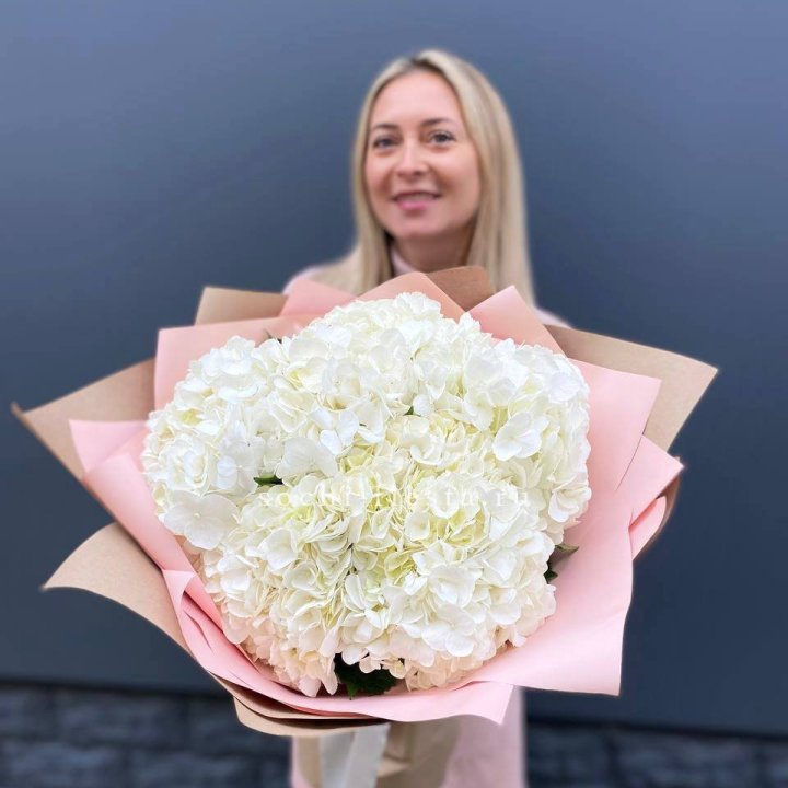 Гортензия белая в Симферополи