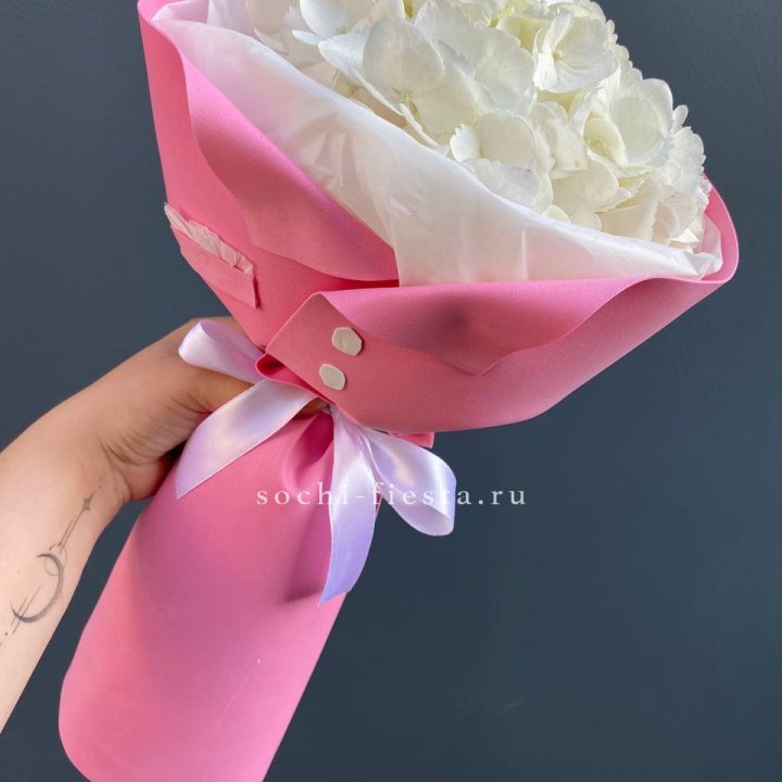 Гортензия в розовом пиджаке в Симферополи