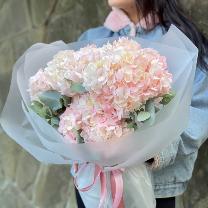 5 розовых гортензий в Симферополи