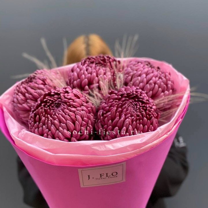 Хризантемы  Бигуди с стифой в Симферополи