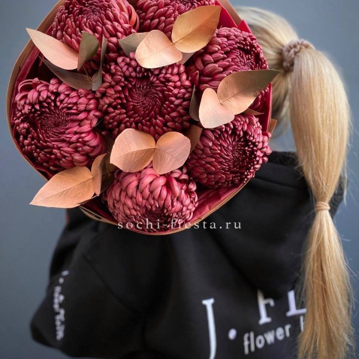 Хризантемы "Голд шоколад" в Симферополи