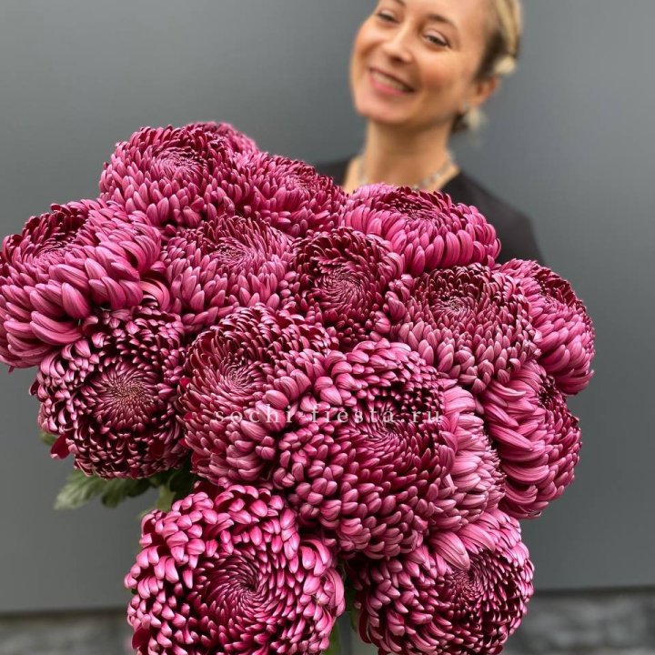 Охапка хризантем Бигуди в Симферополи