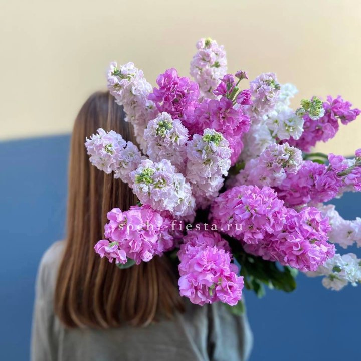 Охапка маттиолы в Симферополи