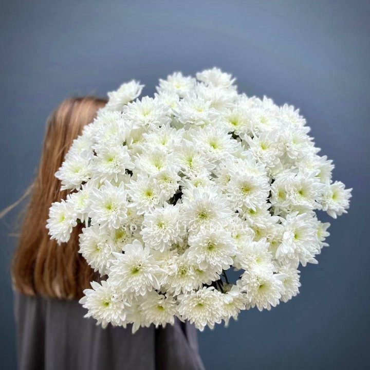 Охапка Хризантемы кустовой в Симферополи