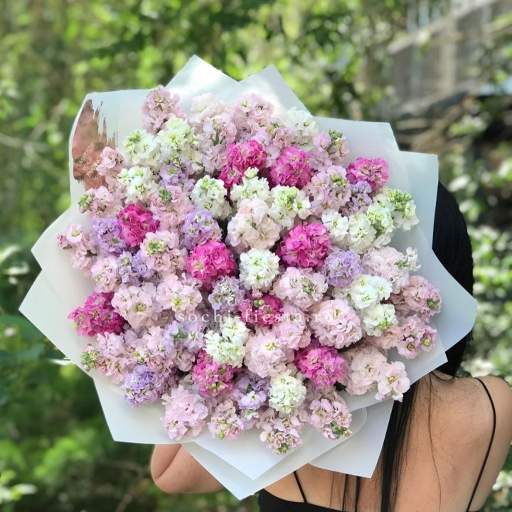 Букет ароматной маттиоллы №3 в Симферополи