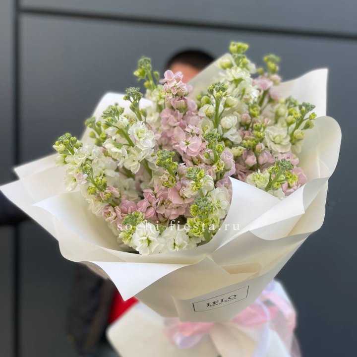 29 маттиол  в Симферополи