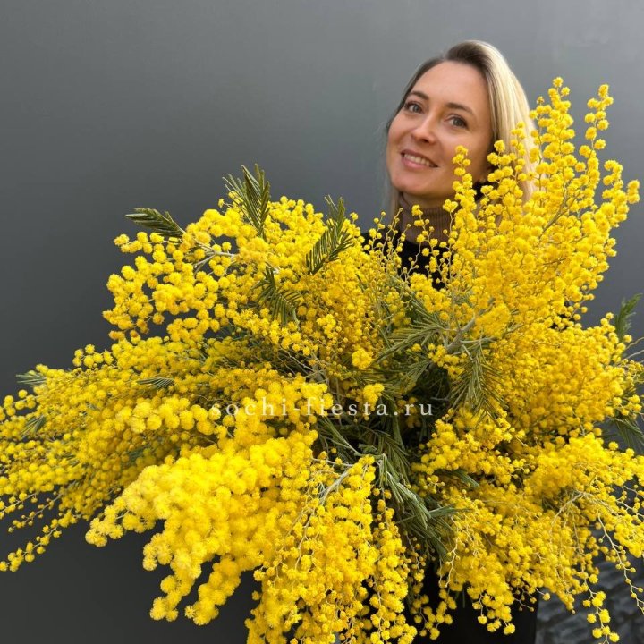 Охапка мимозы №2 в Симферополи