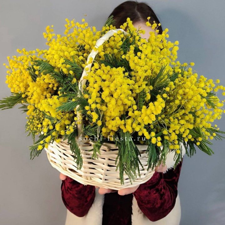 Корзина ароматной мимозы в Симферополи