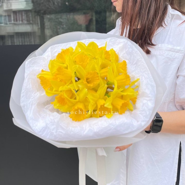 Нарциссы 25 шт в Симферополи