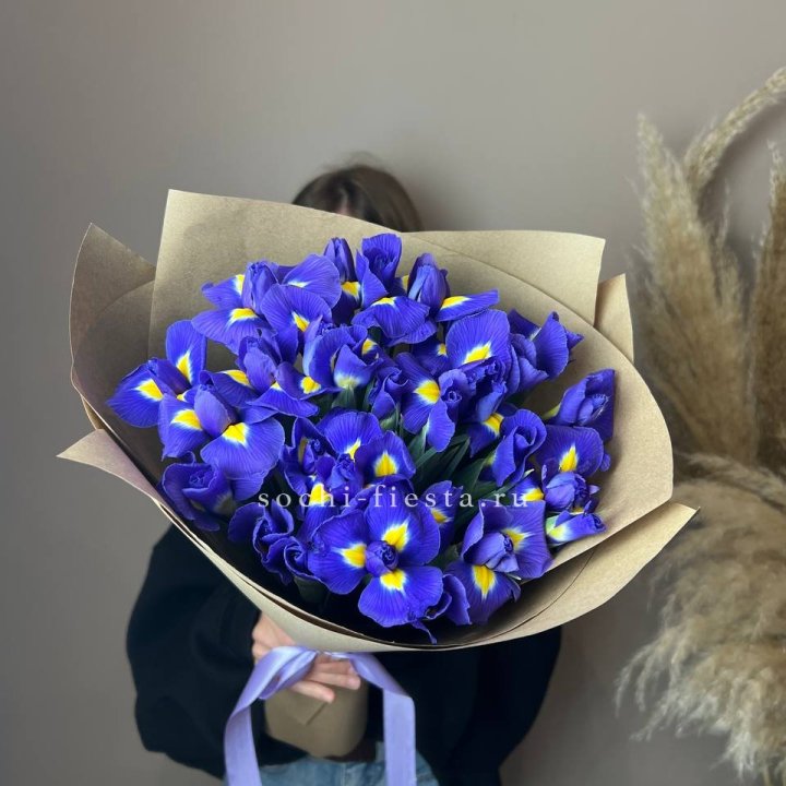 Ирисы в Симферополи