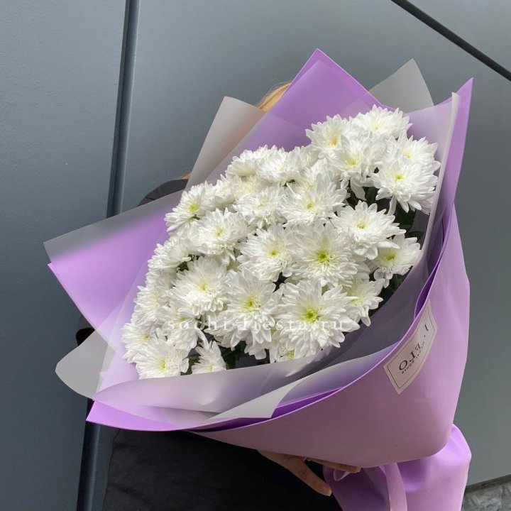  7 хризантем  в Симферополи