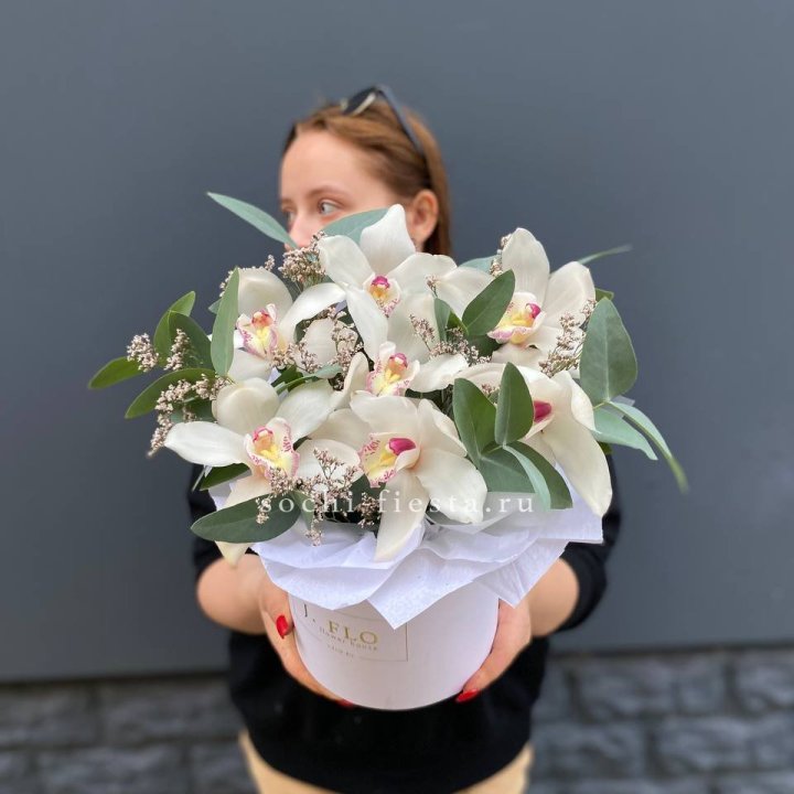 7 орхидей в боксе в Симферополи