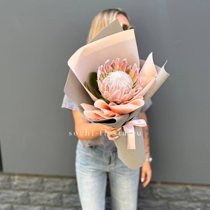 Протея мини  в Симферополи