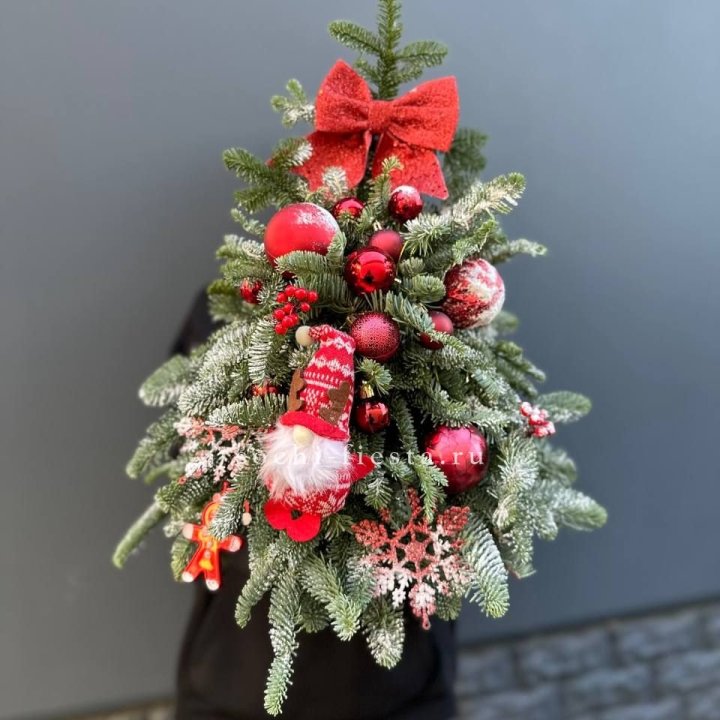 Новогодняя елочка "Ред" в Симферополи