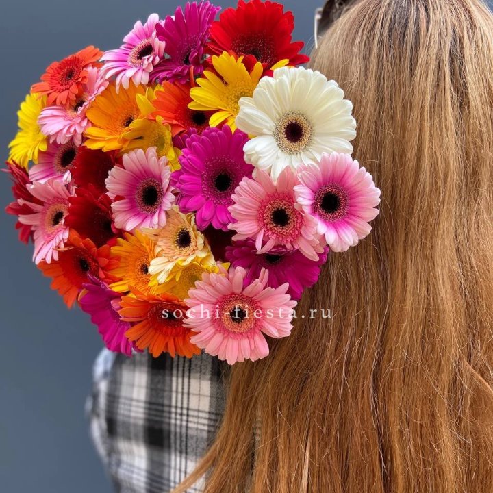 Охапка гербер  в Симферополи