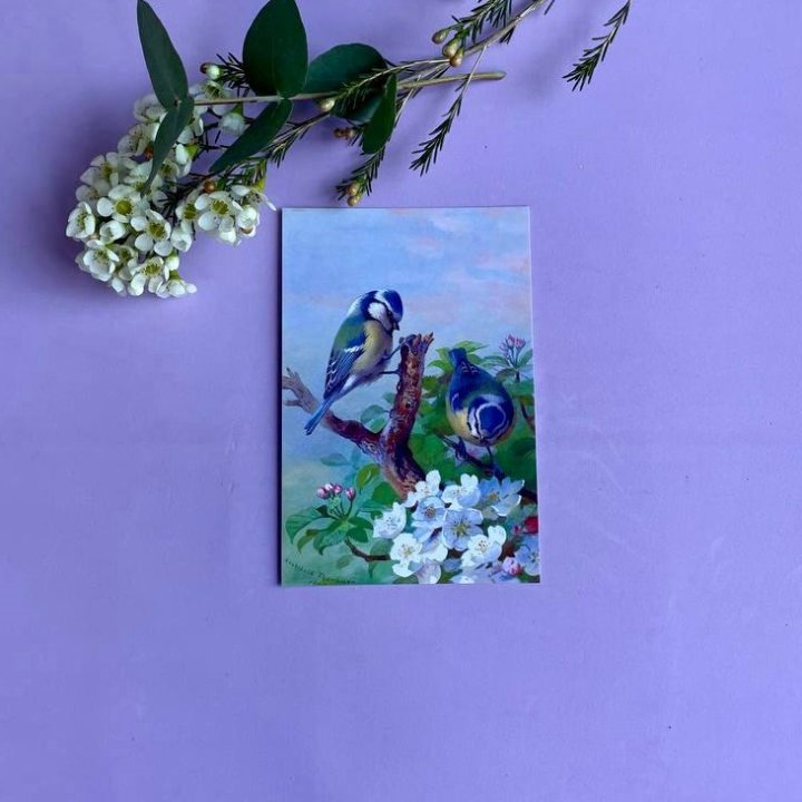 Открытка к букету "Птицы" в Симферополи