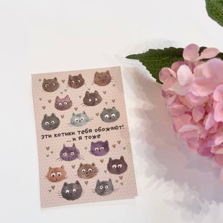 Открытка к букету "Котики" в Симферополи