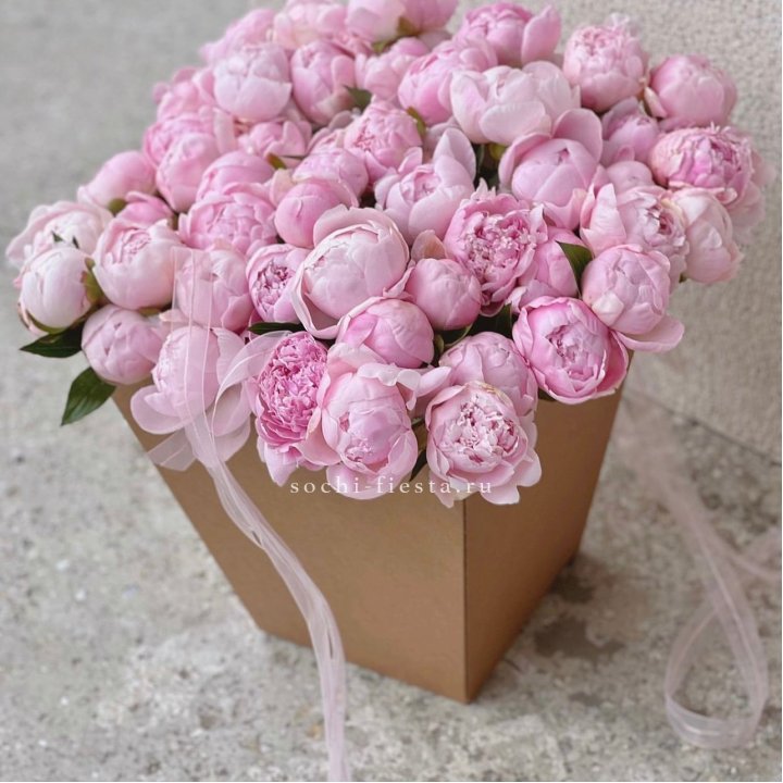 49 пионов в крафт коробке в Симферополи