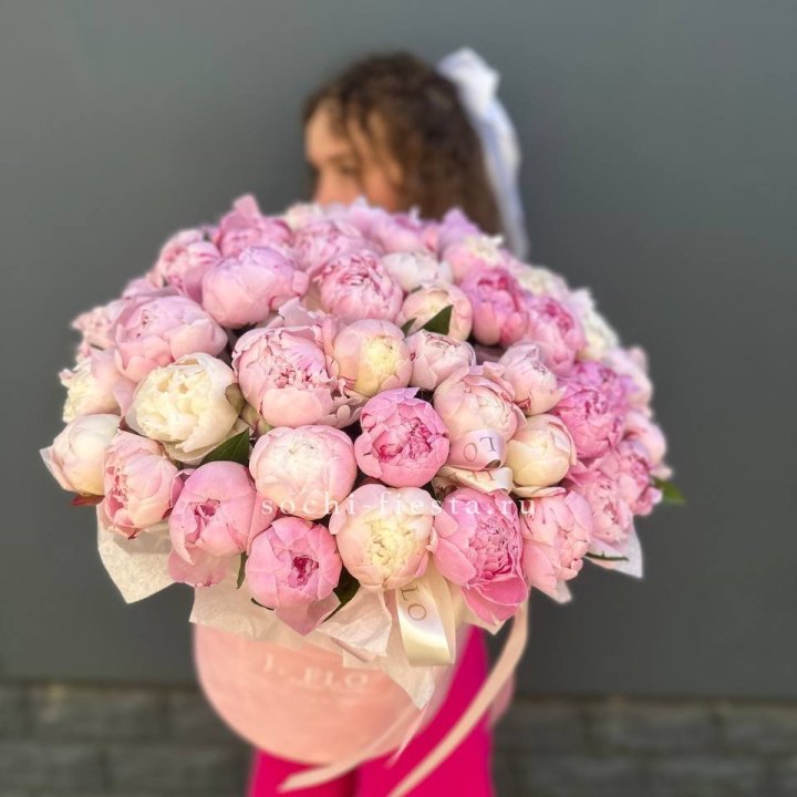 51 нежных пионов  в цилиндре в Симферополи