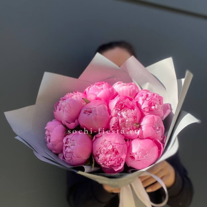 Пионы Алекс флеминг в Симферополи