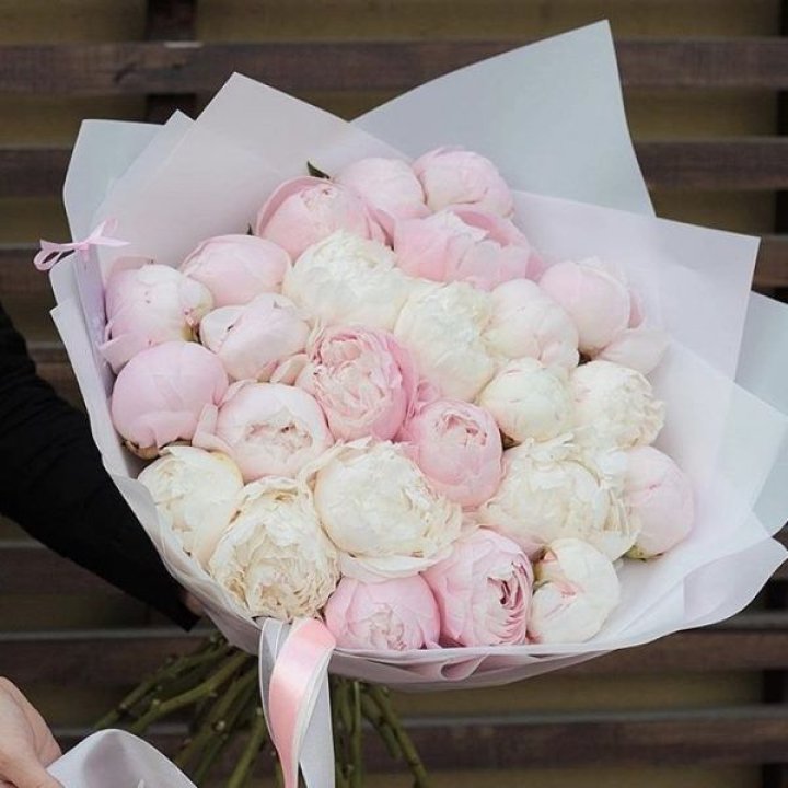 29 пионов в Симферополи