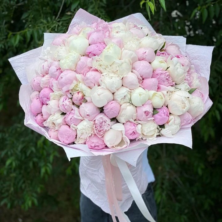 101 пион в Симферополи