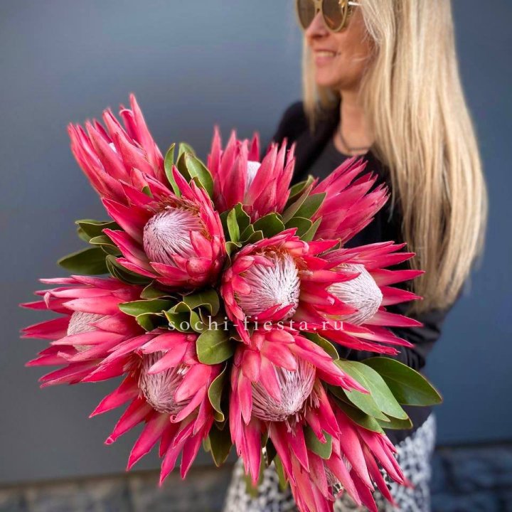 Протея штучно в Симферополи