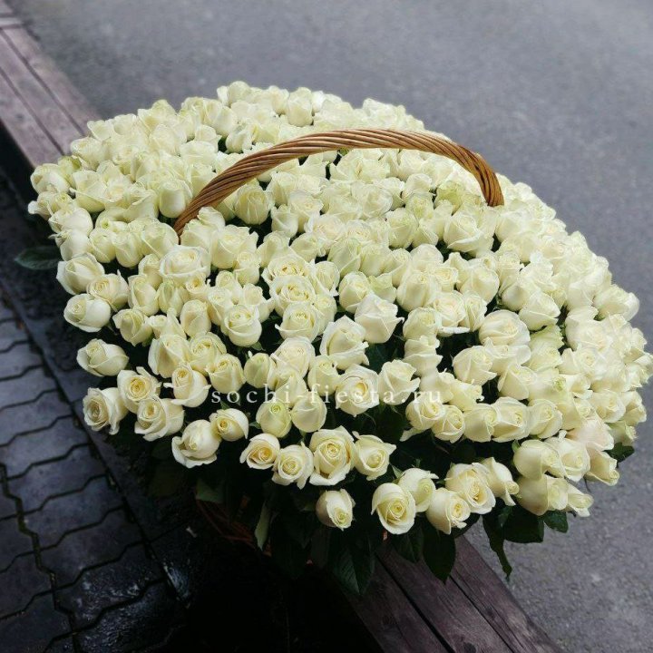 303 розы в корзине в Симферополи