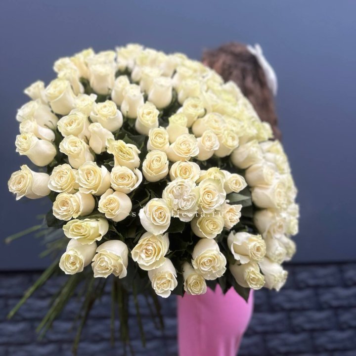 101 белая высокая импортная роза под ленту в Симферополи