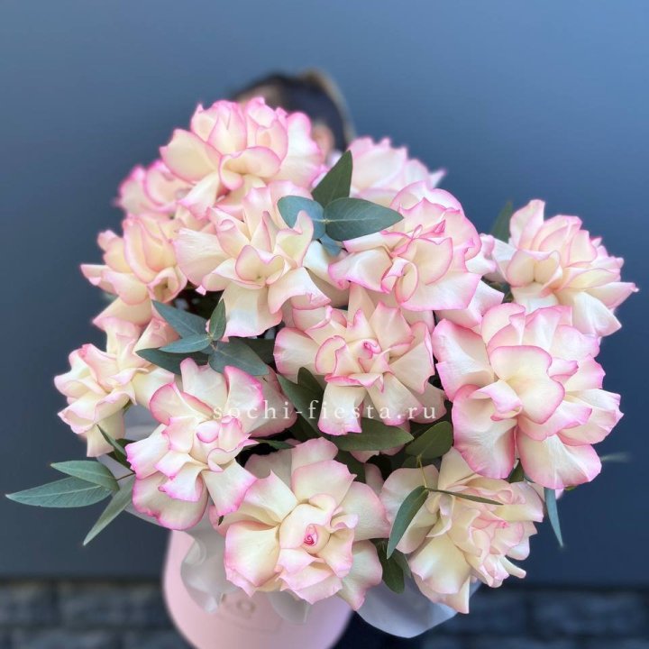 15 Французских роз Джумилия в боксе в Симферополи