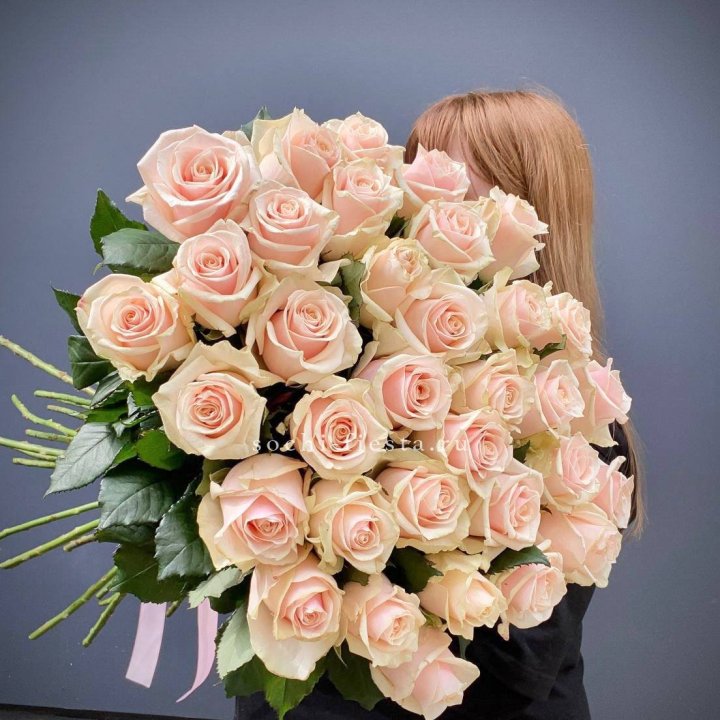 35 кремовых высоких роз в Симферополи