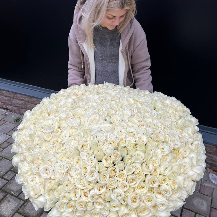 501 белая роза в корзине в Симферополи