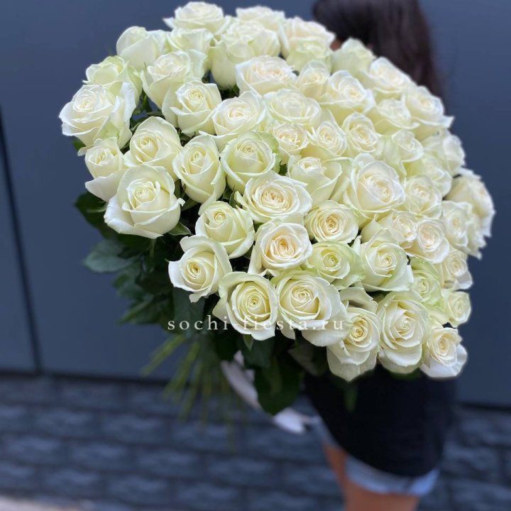51 белоснежная высокая роза в Симферополи