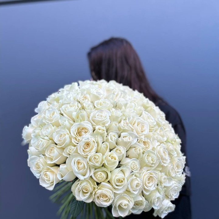 Охапка из 101 белой розы  в Симферополи