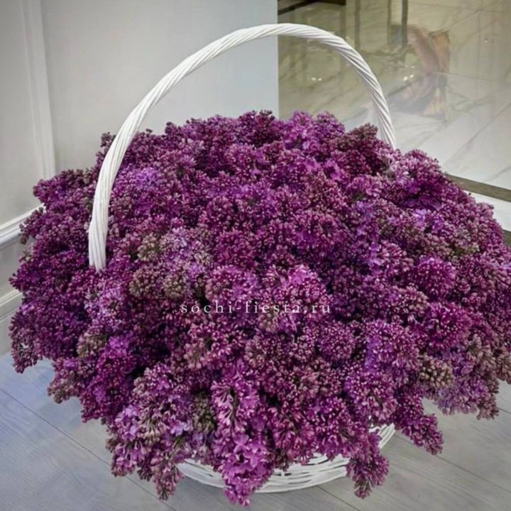 Корзина сирени в Симферополи