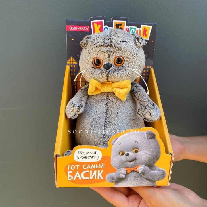 Кот Басик с бабочкой в Симферополи