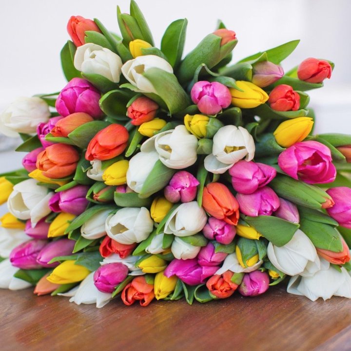 79 тюльпанов "Рандом" в Симферополи
